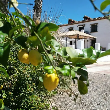 Apartment Isla Palmeras Alora
